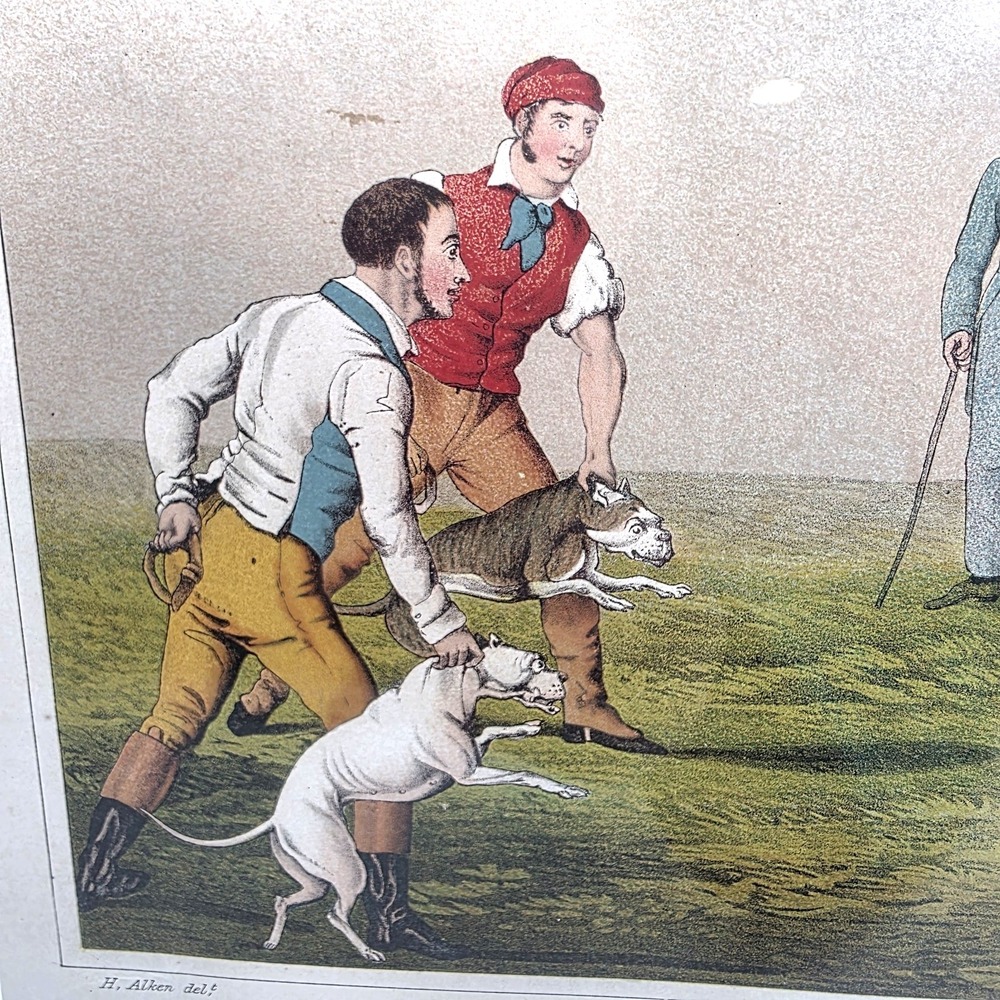 Henry Alken Bull Baiting Antique 1820 Hand Colored Aquatint I Clark Framed Print - Picture 2 of 12
